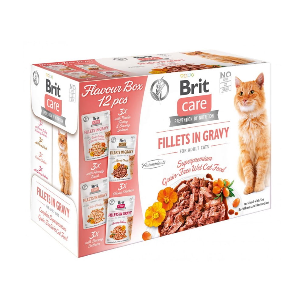 Brit Care Cat FG Flavour Box Karma Mokra dla Kota 12x85g